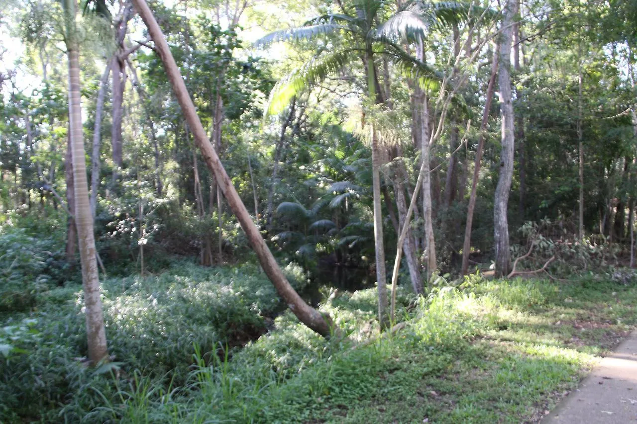 ****  Paperbark Bed & Breakfast Brisbane Australia