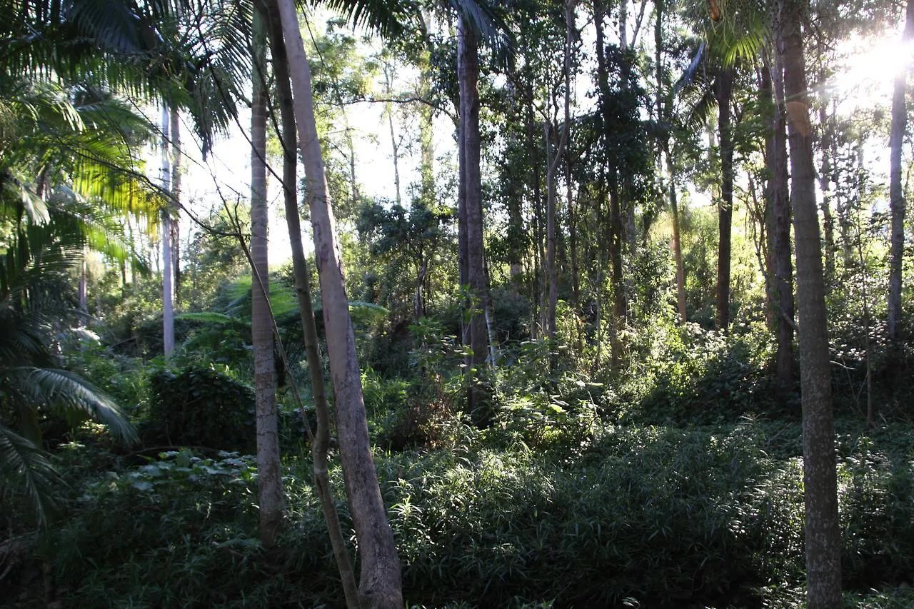Paperbark Bed & Breakfast Brisbane