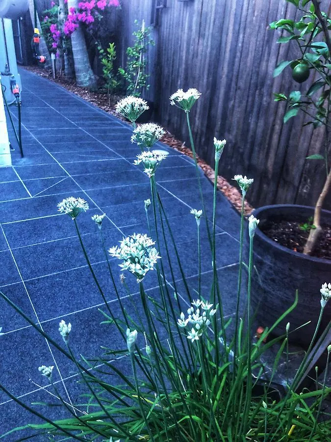 Paperbark Bed & Breakfast Brisbane Australia